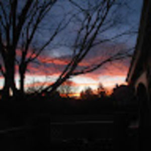 Meet your Posher, Katrina